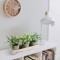 thumbnail image 4 of Fake Plant Potted Lifelike Small Artificial Greenery Plant Faux Plant Decoration, 4 of 10