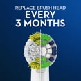 thumbnail image 2 of Oral-B Precision Clean Replacement Electric Toothbrush Head, 2 of 9