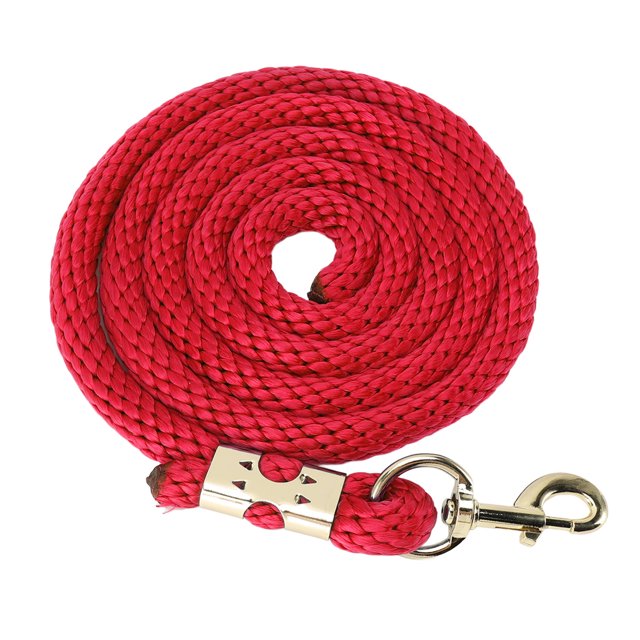 Corde Anti-Casse Robuste de 2m pour Chevaux avec Crochet pour la Manipulation, Matériau en Acier Inoxydable PP