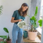 mtvxesu Plant Watering Can, Plastic Watering Can Small Lightweight Cute Indoor Outdoor Garden Plants Adult Elephants Watering Can Small Watering Can Flower Watering Can Clearance