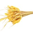 thumbnail image 1 of Coofit Dry Flower Branch DIY 24PCS Simple Natural Dried Grass Stem Dry Grass Decor, 1 of 8