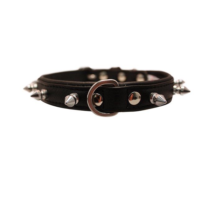 Collier pour Chien en Cuir Véritable à Embout / Collier Fait à la Main / Collection à Pointes Rotterdam / Parfait pour les Races de Chiens Moyennes, Grandes et TG / Quincaillerie en Acier Inoxydable / Boucle en Laiton