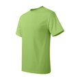 thumbnail image 1 of Hanes Men's Authentic-T T-Shirt - 5250T (Pack Of 5), 1 of 1