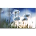 thumbnail image 2 of Beautiful Polar White Flowers - Floral Canvas Art Print, 2 of 3