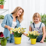 Modern Decorative Flower Pot with Saucer, Drainage Holes - Cute Home Garden Balcony Terrace Planter for Plants, 13x12cm