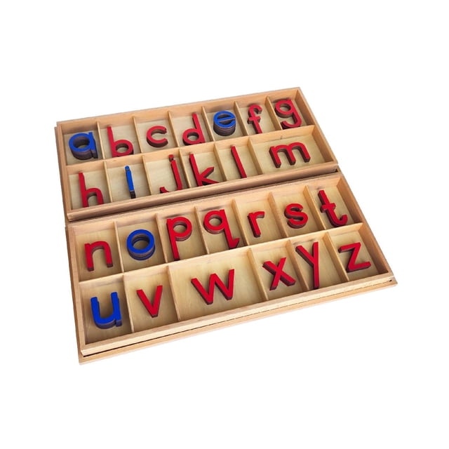 IFIT Montesssori Large Movable Alphabet, Print, Montessori Toy Language Material