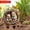 D 4T1, variant on Rvkxad Series Acrylic Garden Stakes, Family Themed Ground Insert for Outdoor Potted Decoration, Yard Markers, Lawn Ornaments