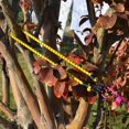 thumbnail image 3 of Cordons 60 cm, Sangles Élastiques Robustes avec Crochets pour le Camping, VR, Vert, 3 of 8