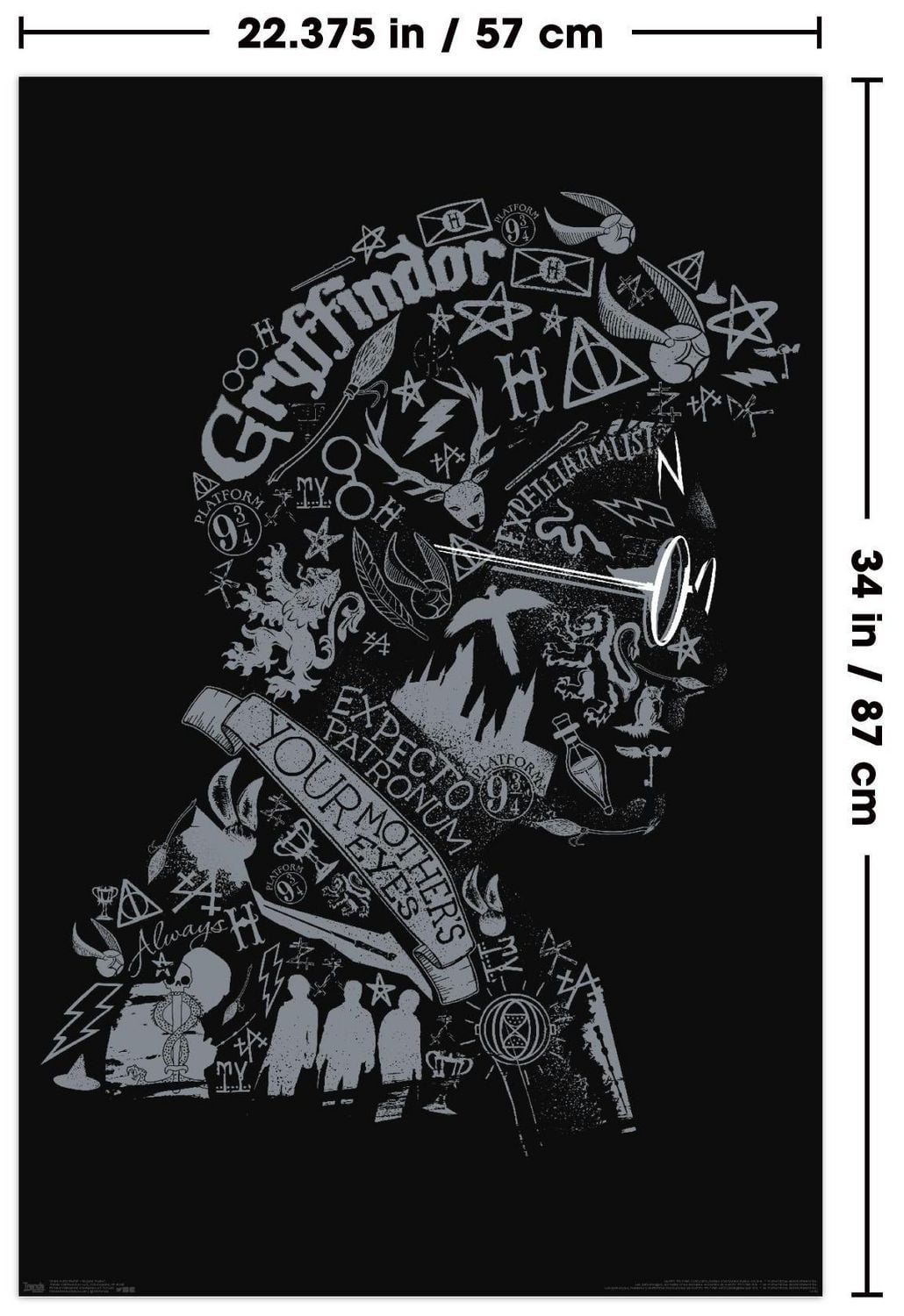 Le monde magique : Harry Potter - Texte graphique de Harry Potter