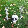 thumbnail image 2 of CEHVOM Halloween Skeleton Prop Human Full Size Skull Hand Garden Model Decor Clearance, 2 of 8