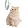 thumbnail image 2 of One Paw, Vegan Leather Safety Cat Collar, Breakaway Buckle, for Cats, 2 of 9