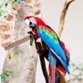 thumbnail image 3 of Cuttlebone Teething Toy Parrot Nibbling Toy Parrot Swing Toy Cage Bird Playing Toy, 3 of 9