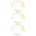 thumbnail image 2 of 3Pcs Multi-functional Paint Brush Cleaner Paint Brush Holder Paint Brush Washing Tool, 2 of 8