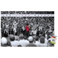 thumbnail image 4 of Tiger Woods - L'effet tigre, 4 of 5
