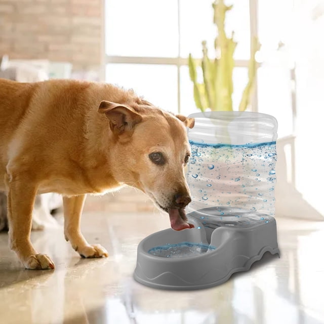 TopLLC Automatic Water Feeder for Food Dogs Water Dispenser for Drinking Water Flowing Non In Water Bottle. A large-capacity 3.8L automatic pet water dispenser with a transparent plastic exterior and a grey base, designed for dogs and cats. The dispenser uses gravity to refill water, ensuring a steady supply. The raised base prevents overflow, and the non-slip design keeps it stable during use. Shown in a home setting with a dog drinking from the bowl.