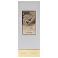 thumbnail image 4 of Ward Noir by Rasasi for Unisex - 6.76 oz EDP Spray, 4 of 5