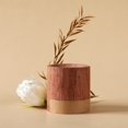 thumbnail image 1 of EGNMCR Aromatherapy Diffuser 1.57 Inch Wood Oil Diffuser Improve Sleep Home Cylindrical Aromatherapy Diffuser For Workout Yoga Contemplation wood Essential Diffuser, 1 of 6