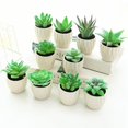 thumbnail image 3 of Coofit Mini Potted Succulent Lifelike - Artificial Plant Faux Succulent in Pot for Home, 3 of 4