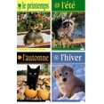 thumbnail image 1 of French Seasons Posters, 1 of 1