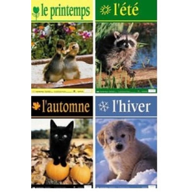French Seasons Posters set of 4, each 18 by 12 inches, depicting spring with two ducklings on a wooden ledge and flowers, summer with a raccoon near water, autumn with a black kitten on pumpkins, and winter with a golden retriever puppy in snow, ideal for classroom decoration and student reference.