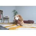 thumbnail image 3 of Hartz Chompathon Rock N' Rib Chew Dog Toy, 3 of 5