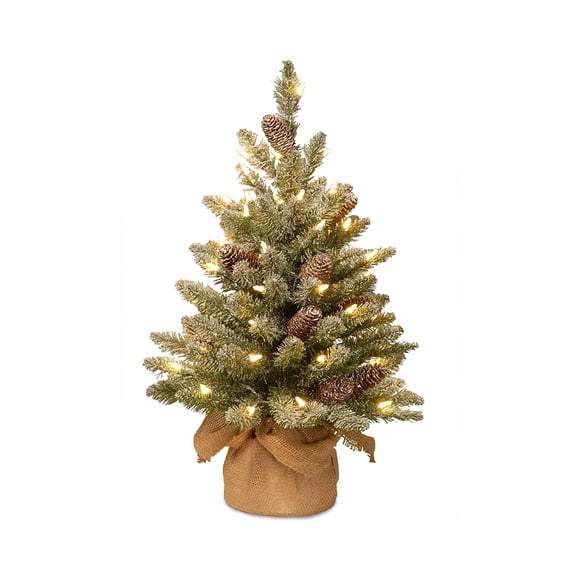 National Tree Company 2 Ft Artificial Prelit Fir Christmas Tree