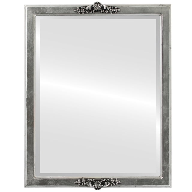 Athena Framed Mirror - Silver Leaf with Black Antique