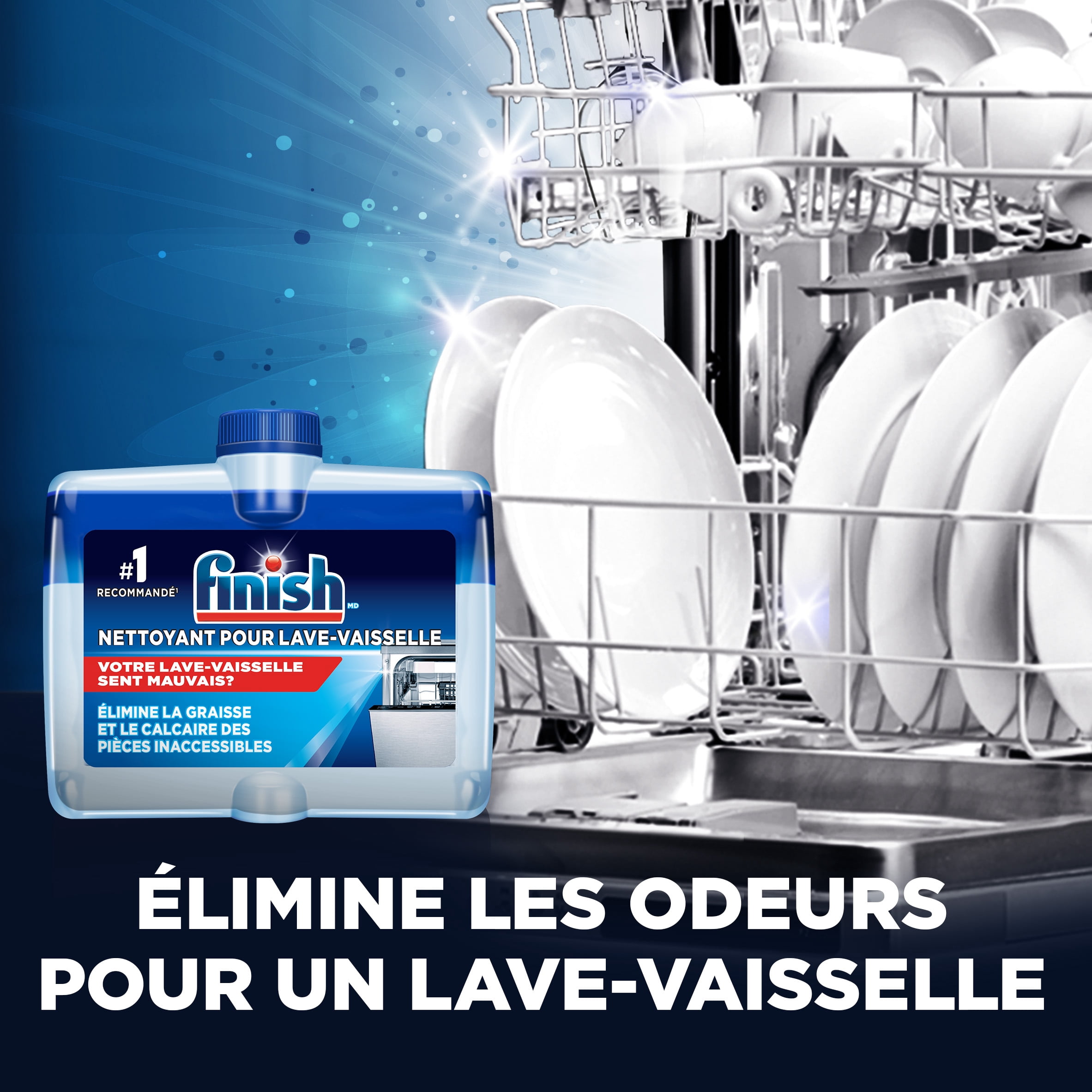 Finish Dual Action Dishwasher Cleaner, Original, Fight Grease & Limescale, 250 mL
