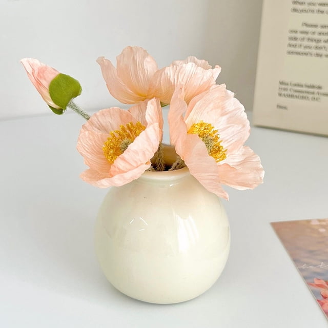 QTOCIO Cute Scandinavian Style Simples Ceramic Vase Living Room Desktop Dining Table Entryway Home Decorative Ornaments
