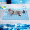 View all media