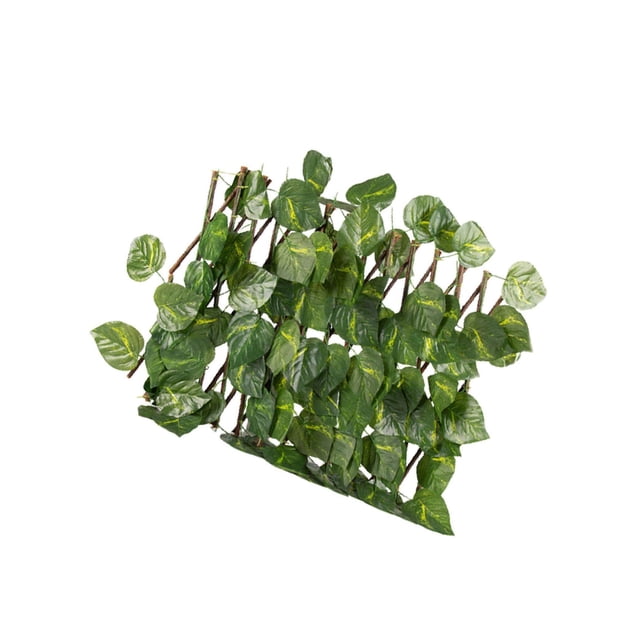 thinsony Écran d'Intimité Rétractable pour Clôture de Jardin Extérieur Feuilles Persistantes