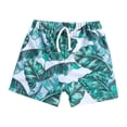 thumbnail image 1 of Hiiyo Toddler Boys Tropical Swimming Trunks Quick Drying Board Shorts Beach Bathing Suit, 1 of 7