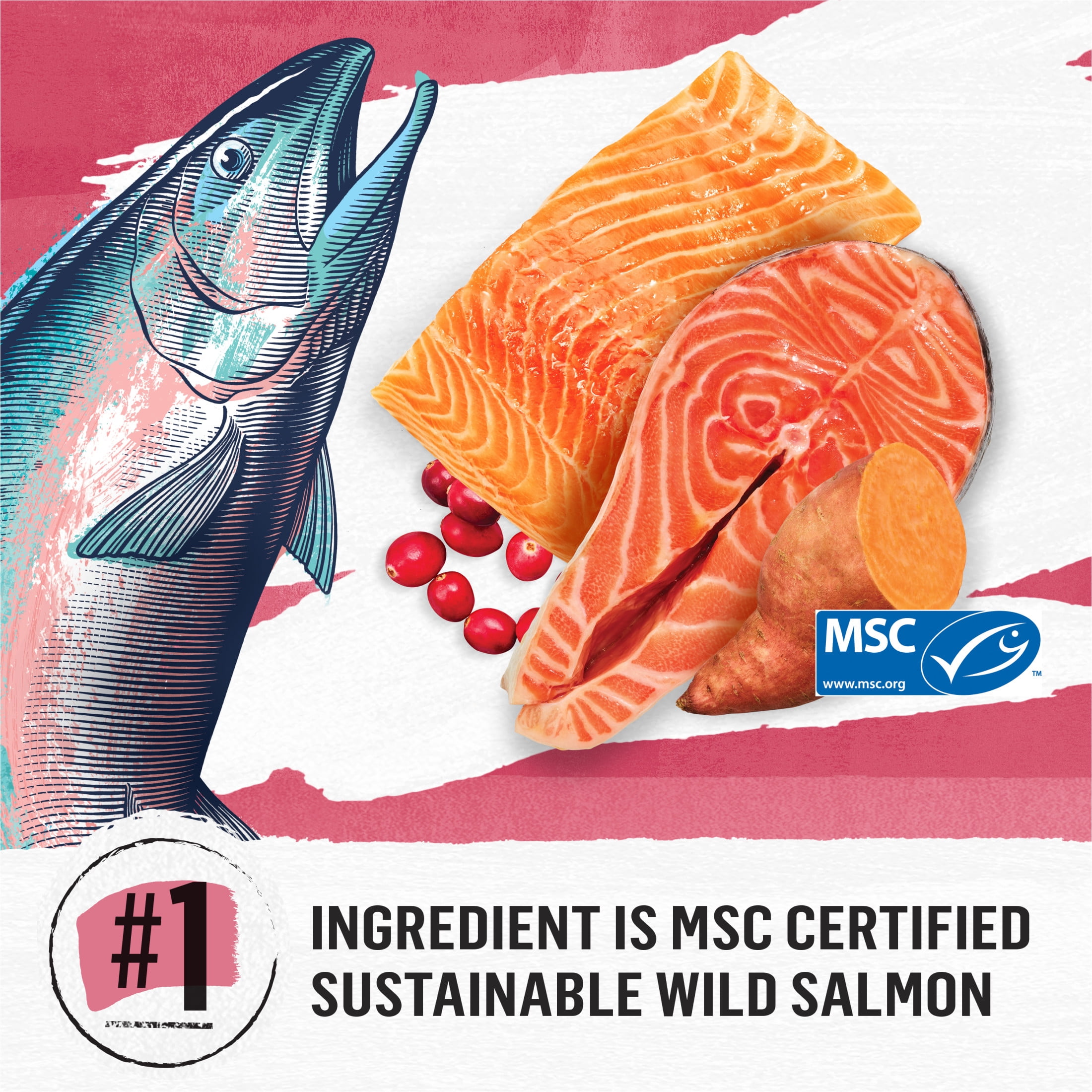 Beyond Grain Free Indoor Cat Wild-Caught Salmon, Egg & Sweet Potato Recipe, Dry Food 1.36kg