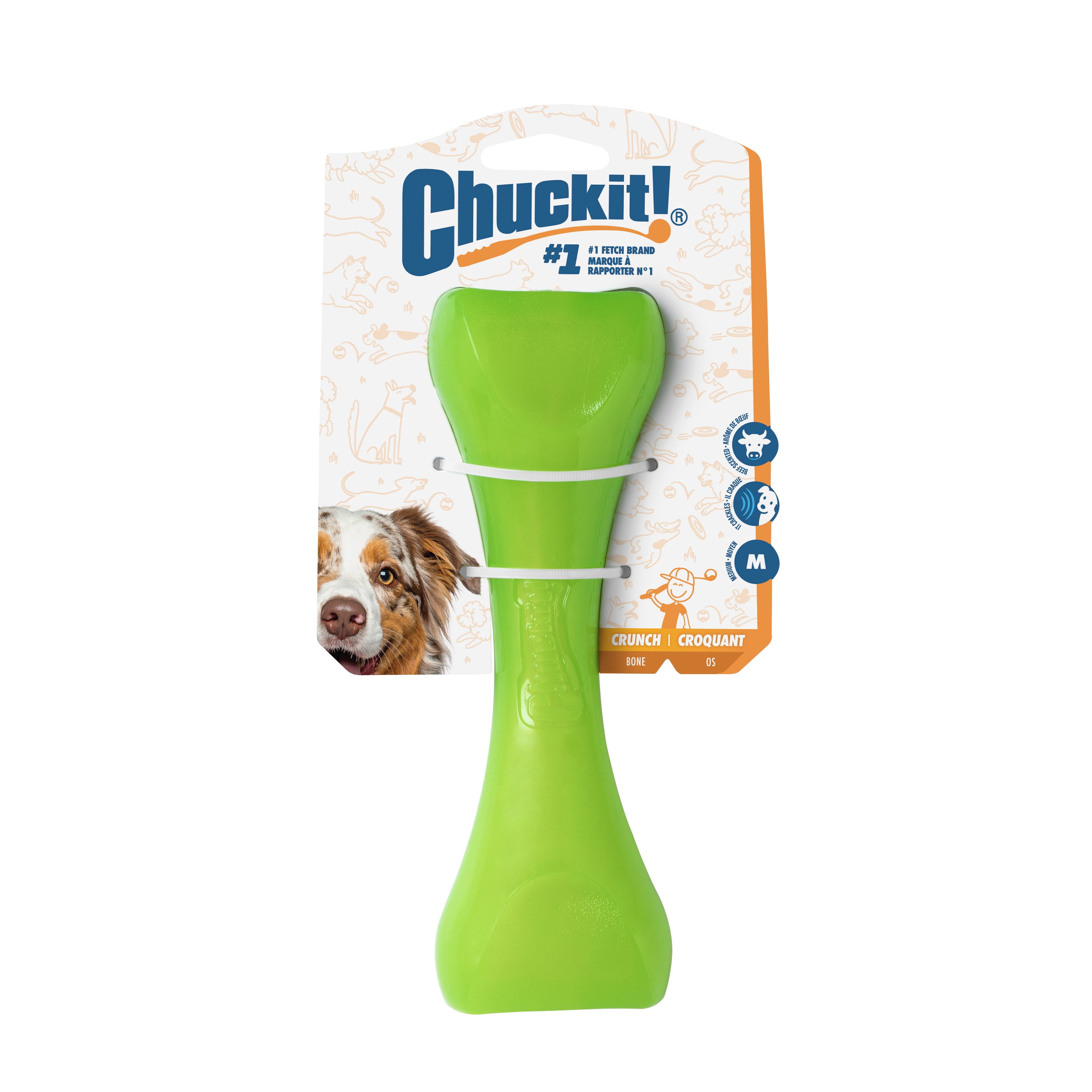 Chuckit! Bonz Crunch Bone Beef Scented Dog Toy, Green - Walmart.ca