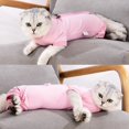 thumbnail image 2 of Combinaison de Récupération pour Chat après Chirurgie pour Femme Homme Pyjama Chirurgical pour Animaux de Compagnie Manches Longues Prévention de la Perte Combinaison Serrée & Col en E Alternative pour Chats, 2 of 6