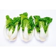 thumbnail image 1 of Mini-bok choy, vendu en vrac, 1 sac, 0.09 - 1.39 KG, 1 of 2