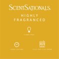 thumbnail image 2 of ScentSationals Scented Wax Cubes - Honeycomb Glow, 2 of 5