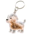 thumbnail image 3 of Porte-clés Collectionneur de Poils de Chien Porte-Clés Chien Porte-Clés Collectionneur de Poils de Chien Boîte de Rangement Commémorative Souvenir de Poils d'Animaux Porte-Clés Souvenir Transparent pour Collectionner les Poils de Chat et de Chien, 3 of 4