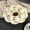 Beige, variante sur ZENGHUIJ Assiettes à Jiaozi avec Vinaigre Assiettes à Collation en Plastique Cadre Commercial Frire Crevettes Assiettes à Sushi