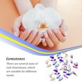 thumbnail image 2 of stanreset 50 Pieces Glass Crystal Set Gem Glitter Personalized 3D Tips Decoration Art Rhinestones Manicure Accessories Wedding Dress White AB, 2 of 6