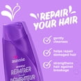 thumbnail image 2 of Aussie Miracle Repairer Shampoo with Aloe for All Hair Types, 2 of 10