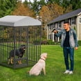 thumbnail image 3 of Kojooin 4x4x6FT Outdoor Dog Kennel with Lock & Waterproof Roof, 3 of 9