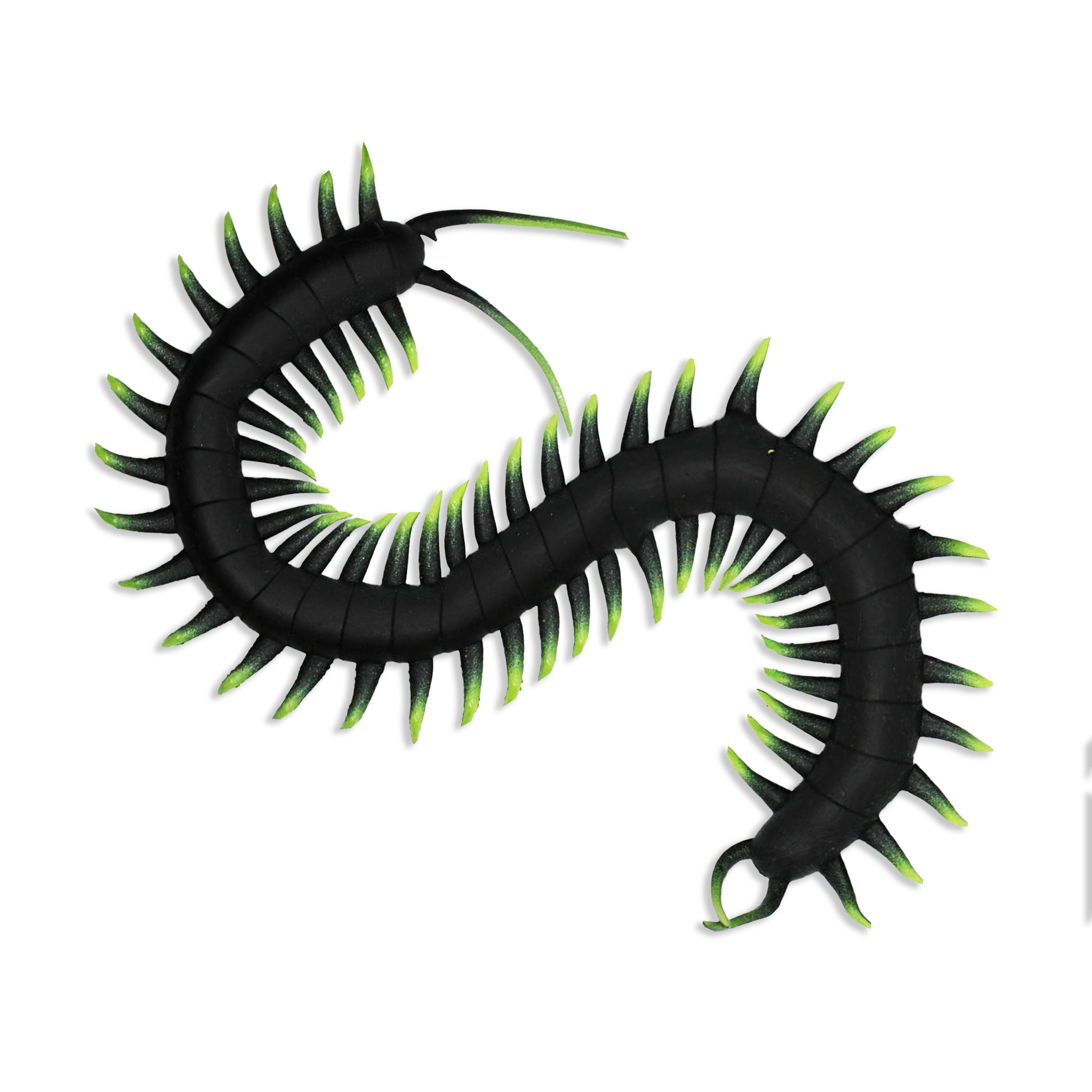 Playology mille-pattes jouet pour chat
