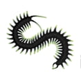 thumbnail image 4 of Playology Centipede Cat Toy with Catnip, 4 of 6