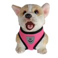 thumbnail image 4 of TIMIFIS Cat Harness Cat Harnesse And Leash Adjustable Soft Mesh Vest with Reflective Strap Metal Cat Harness And LeashFall, 4 of 5