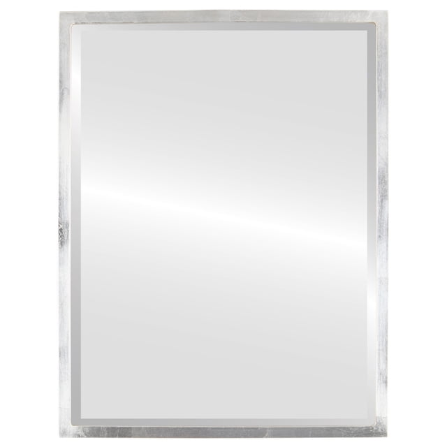London Framed Rectangle Mirror - Silver Leaf Brown - 25" x 37"