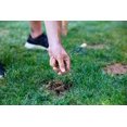 thumbnail image 2 of Scotts 0182 Ez Seed Patch &amp; Repair 1-0-0 4.54Kg, 2 of 6