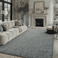 thumbnail image 1 of BERTHMEER 5'x7' Shag Area Rugs for Living Room Bedroom Dorm Office Modern Contemporary Plush Soft Solid Carpets Indoor Fuzzy Fluffy Washable Rugs, Light Gray, 1 of 4