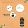 thumbnail image 3 of KRIAA Goodness Eucalyptus Essential Oil 10ml with Dropper, 3 of 6