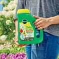 thumbnail image 4 of Miracle-Gro Shake N Feed Tout Usage Nourriture pour Plantes / Engrais Lot de 2, 4 of 11